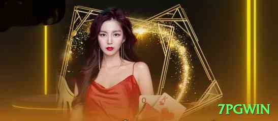 7pgwin Supreme v5.0.4 Screenshot 2